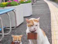 世俱杯参赛资格-阿克扛起全队，佛罗伦萨狂胜巴黎圣日耳曼