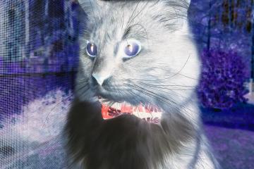 世俱杯参赛资格-末节之王！伊萨克封神时刻引领爱尔兰决胜局奇迹