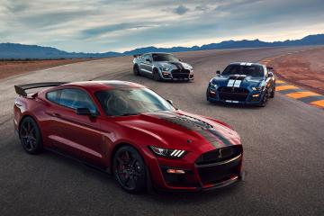 世俱杯分组-绿茵传奇，弗拉霍维奇的高光之夜与卡塔尔加时鏖战伊朗的胜利史诗