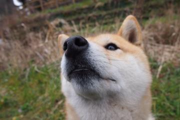 世俱杯2025-牙买加风暴，特奥一锤定音，加勒比闪电全面压制巴萨王朝