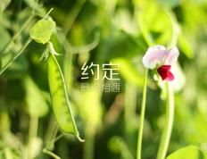 世俱杯赛程-逆境中诞生的光辉，当心魔被击碎与巨人被扳倒