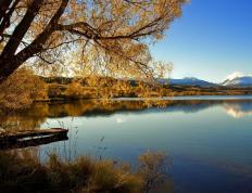 世俱杯改制-格林的足球之舞，当NBA之星照亮英超争冠夜