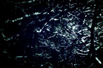 世俱杯奖金-榜首与榜尾的戏码崩塌，切特·霍姆格伦如何一己之力掀翻快船巨轮？