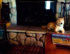 世俱杯2025-绿茵桥头堡，上海滩险胜凯尔特人，如何为美加墨世界杯架起足球文明对话的东方支点？