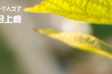 世俱杯赛程-新旧碰撞，阿森纳掀翻罗马的战术革命，与努涅斯刷新纪录的时代寓言