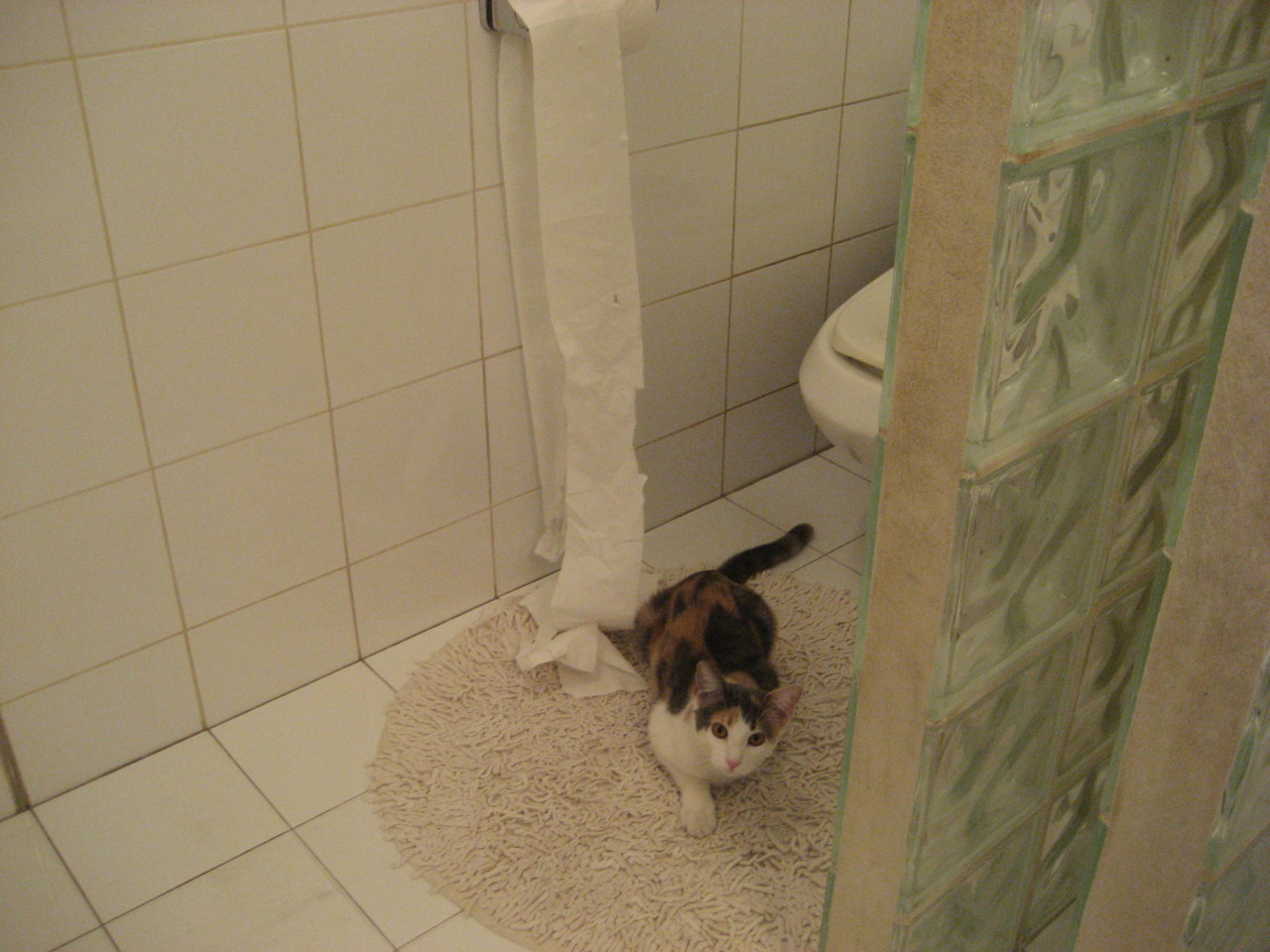 世俱杯-跨界竞技风暴,F1揭幕战点燃速度之战,篮网大胜广东队展现实力