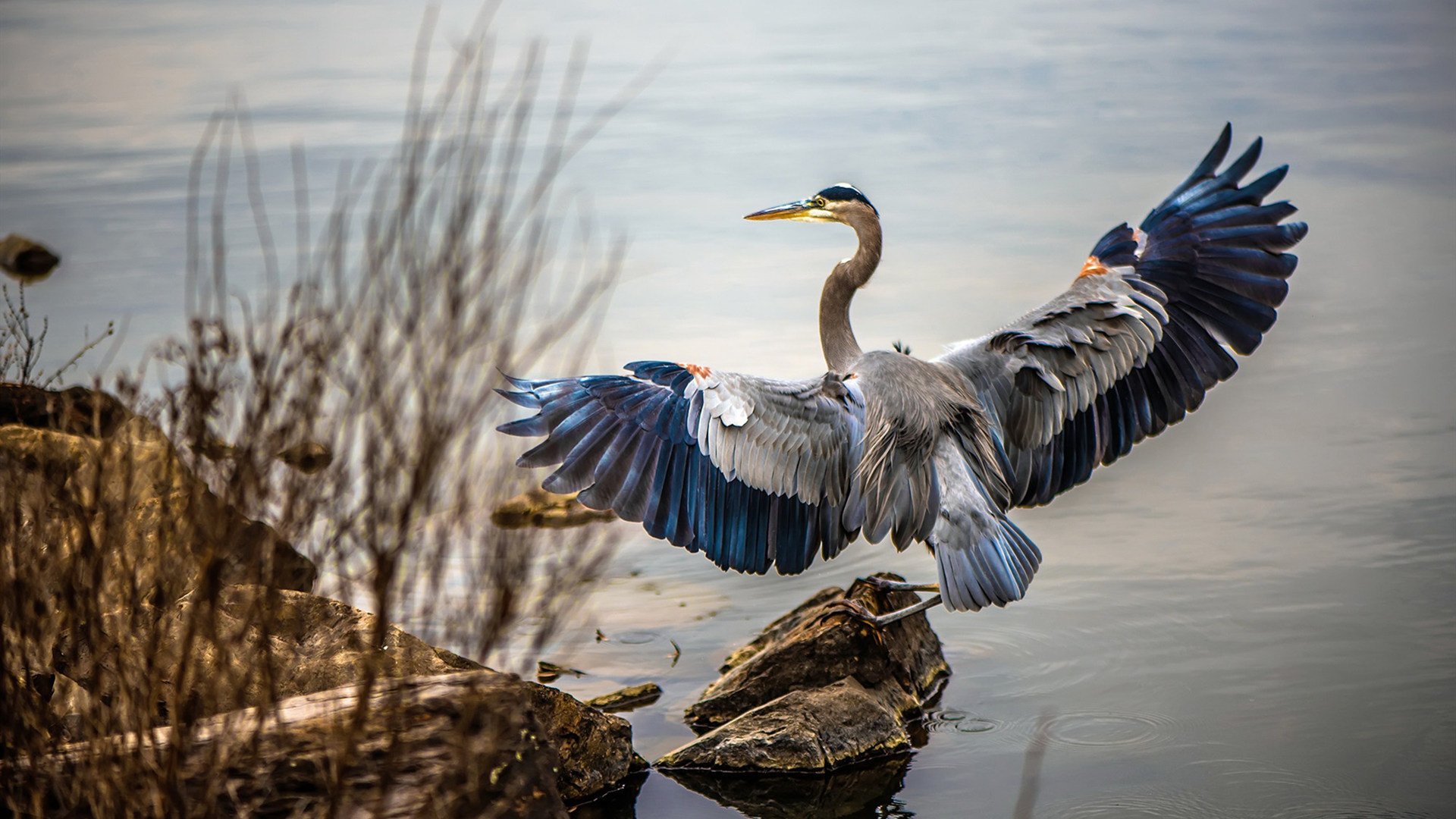 世俱杯-法比尼奥的铁血之夜，从红军沉浮到德甲争冠的终极证明
