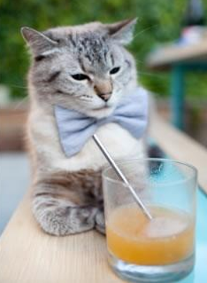 世俱杯赛程-公牛横扫辽宁，当东方铁军遇上西方死神，杜兰特如何成为终极胜负手？