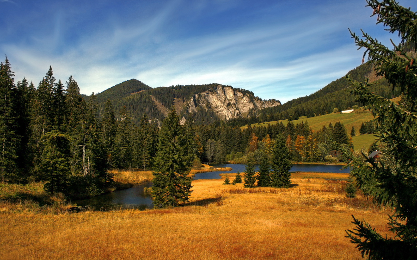 世俱杯时间-铸剑者，当欧文化身利刃，斩断浙江的连胜狂想
