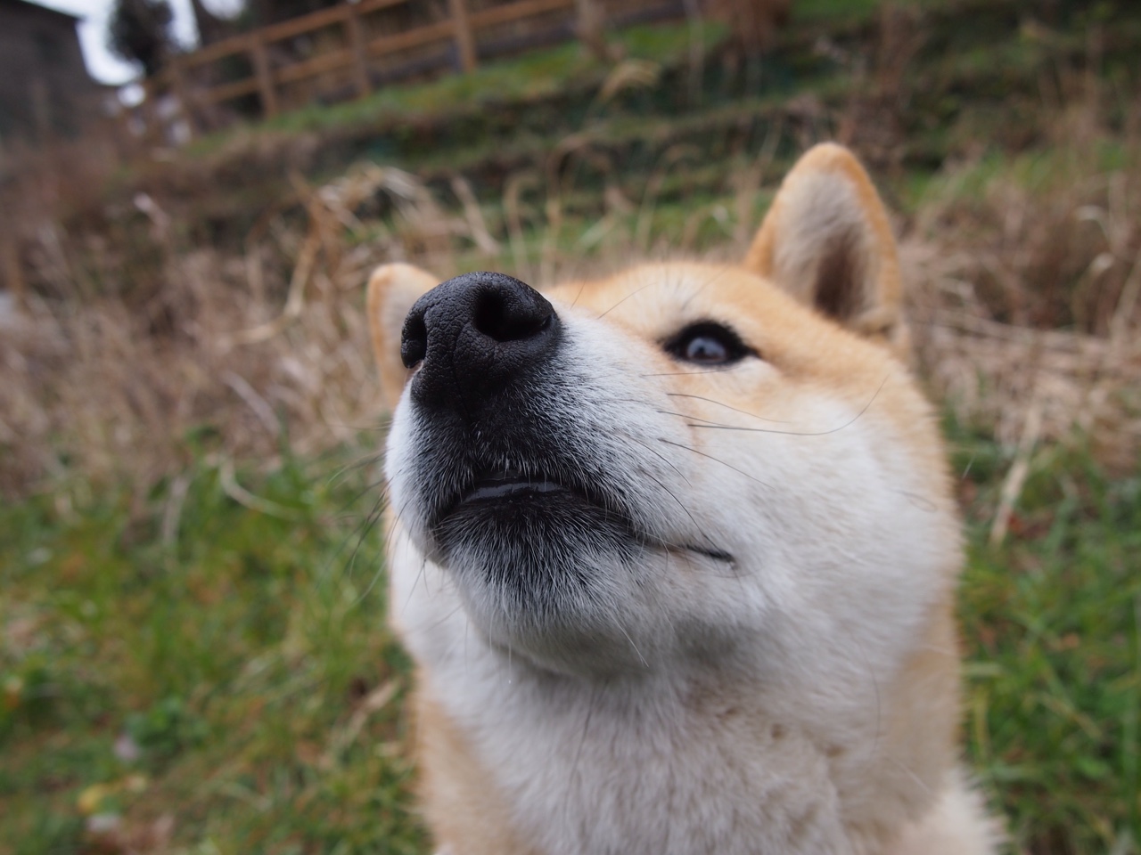 世俱杯2025-牙买加风暴，特奥一锤定音，加勒比闪电全面压制巴萨王朝