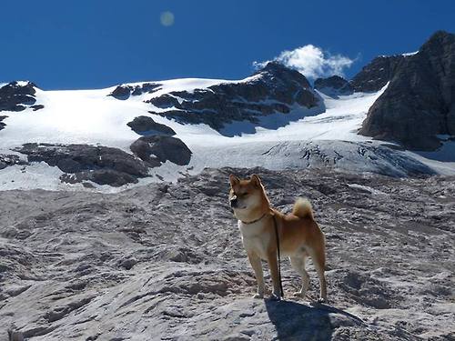 世俱杯时间-斗牛士与猎豹的缠斗，2026世界杯西班牙2-1险胜马里背后的硬仗启示