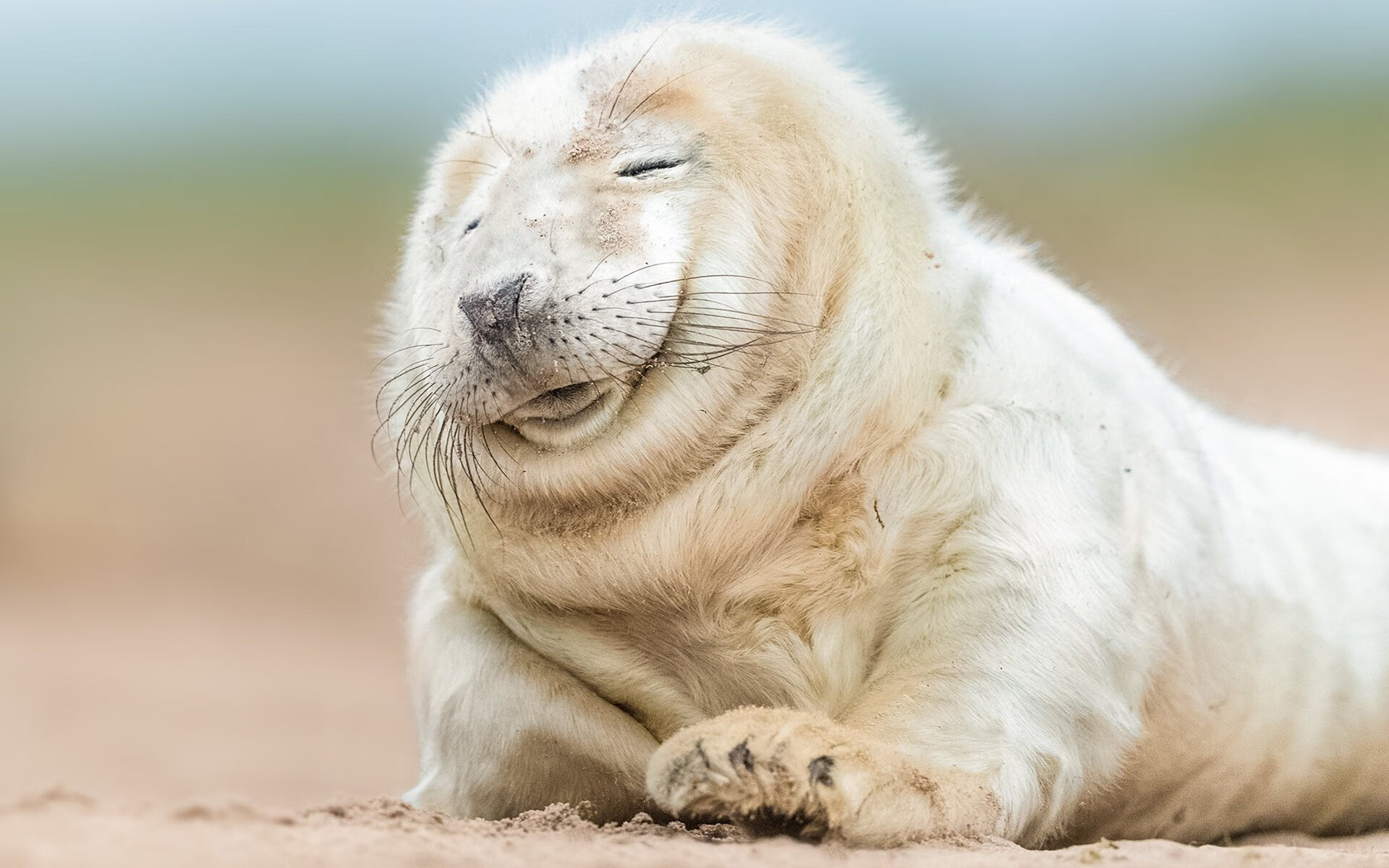 世俱杯改制-绿茵乐章，奥亚尔萨瓦尔以思维谱写节奏，主导切尔西与威尔士之役