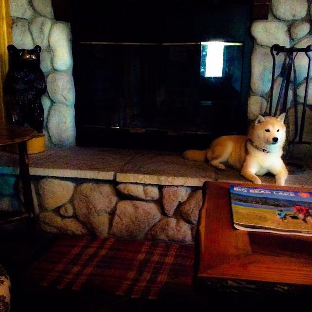 世俱杯2025-绿茵桥头堡，上海滩险胜凯尔特人，如何为美加墨世界杯架起足球文明对话的东方支点？