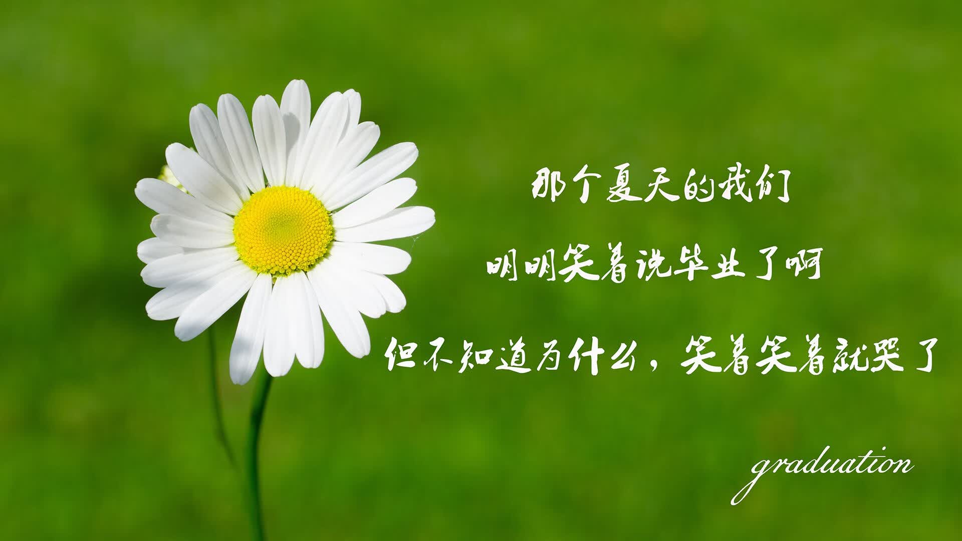 世俱杯分组-桑巴风暴席卷多哈,德容双子星闪耀,巴西强势横扫卡塔尔展露冠军相