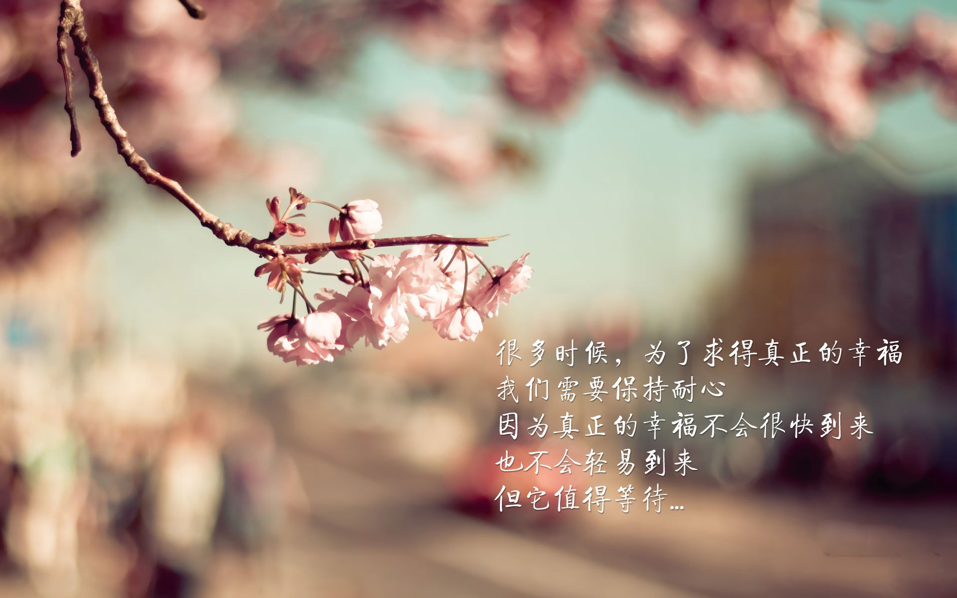 世俱杯分组-桑巴风暴席卷多哈,德容双子星闪耀,巴西强势横扫卡塔尔展露冠军相